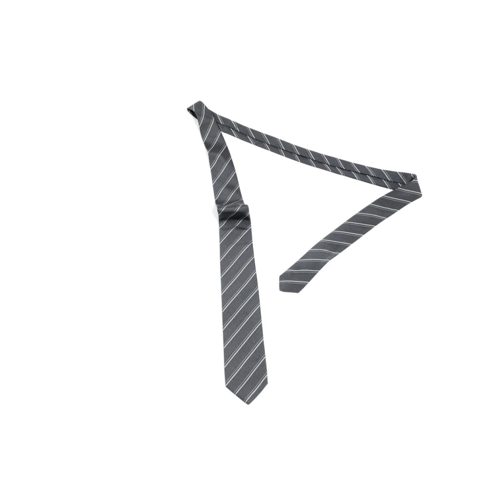 CRAVATE EN SOIE - RAYURES ARGENT